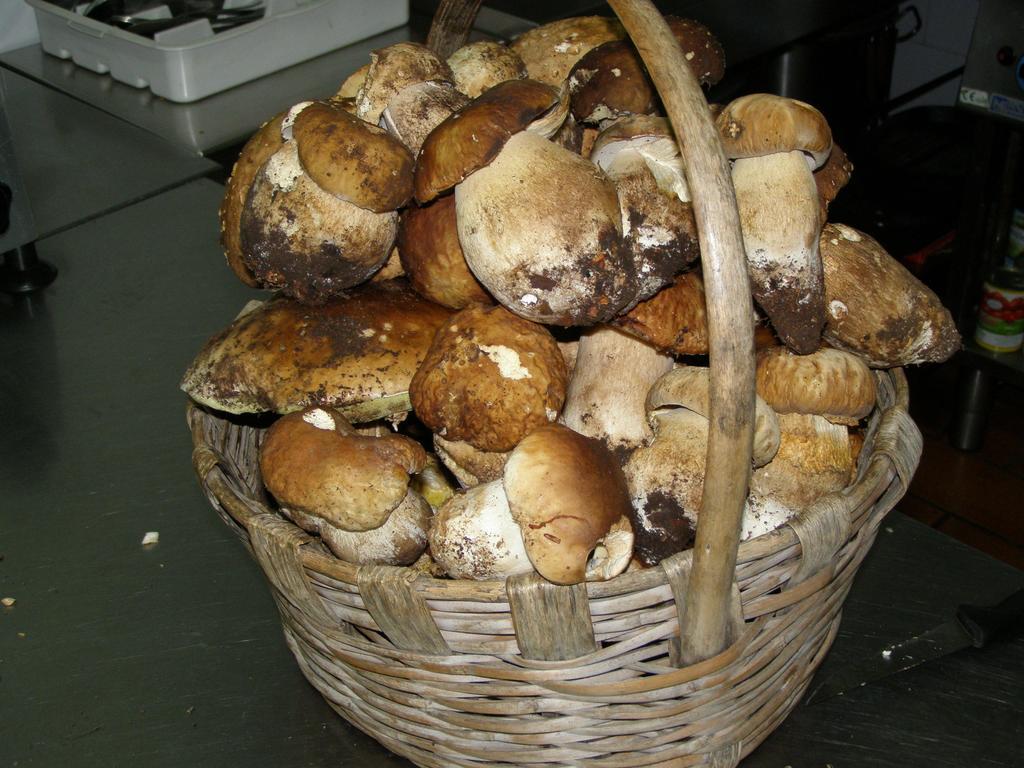 B&B Le Grazie Piaggine Luaran gambar