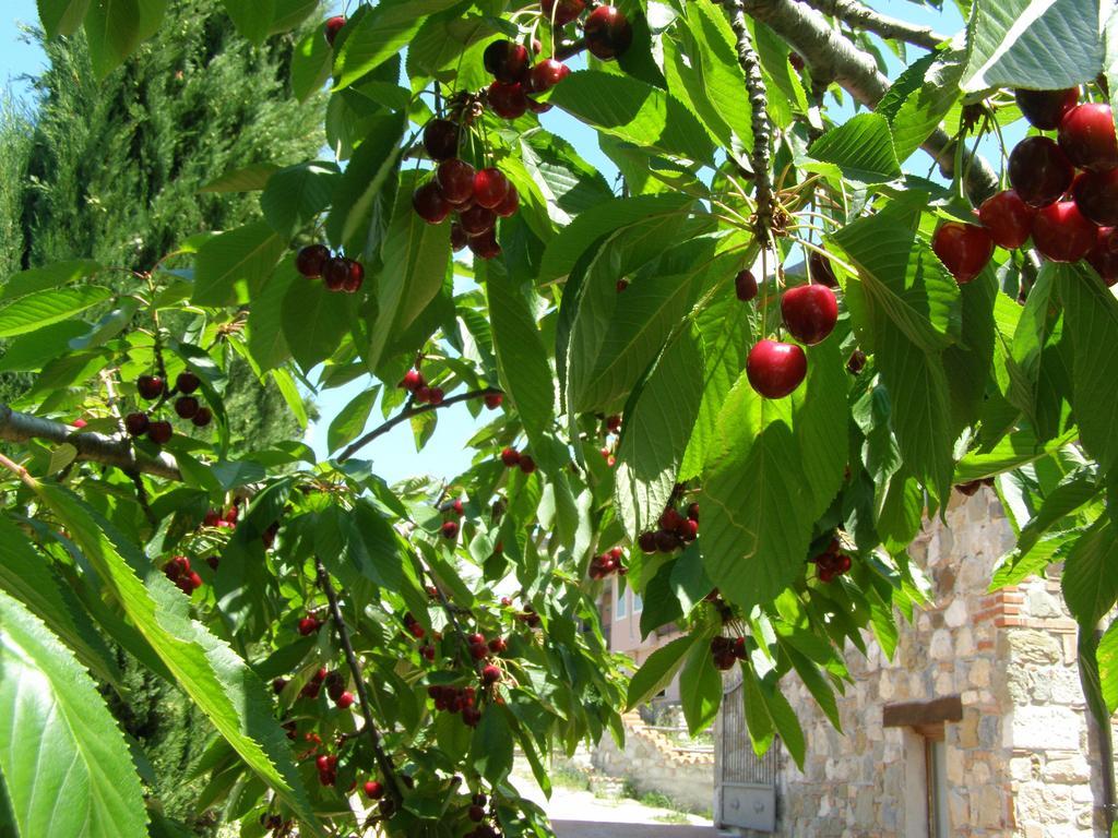 B&B Le Grazie Piaggine Luaran gambar
