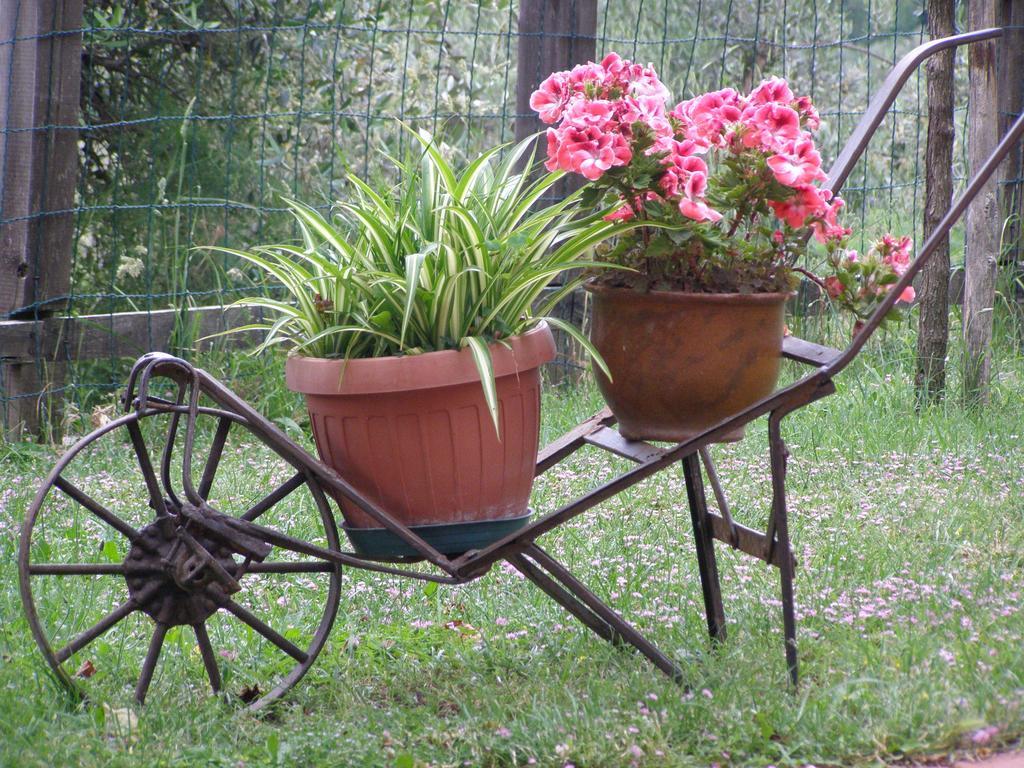 B&B Le Grazie Piaggine Luaran gambar