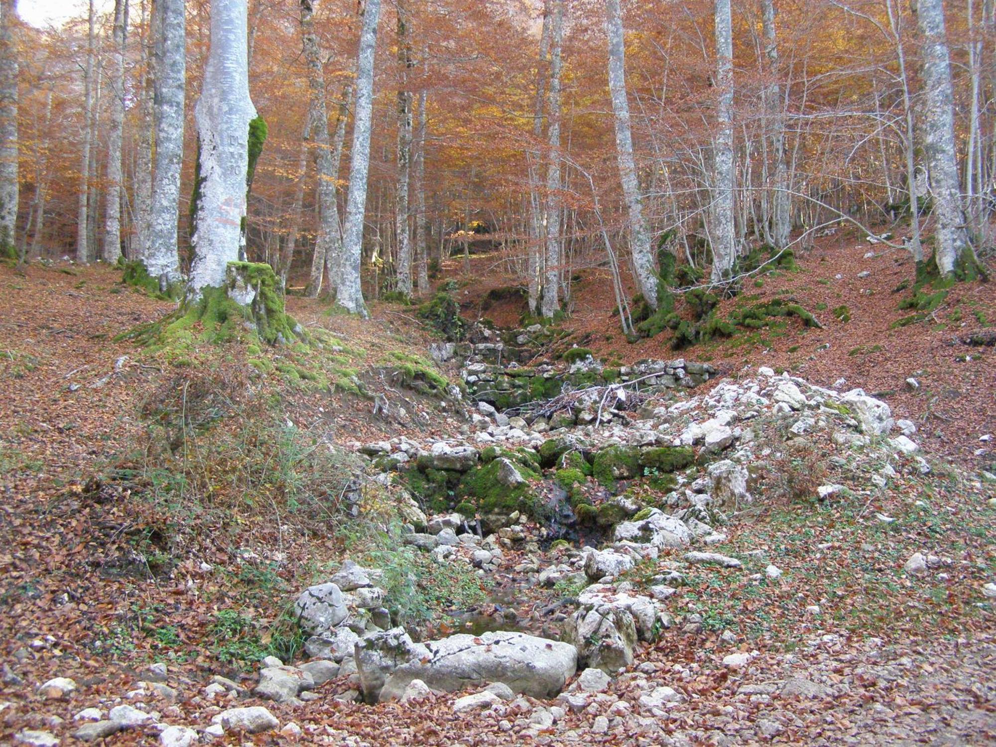 B&B Le Grazie Piaggine Luaran gambar