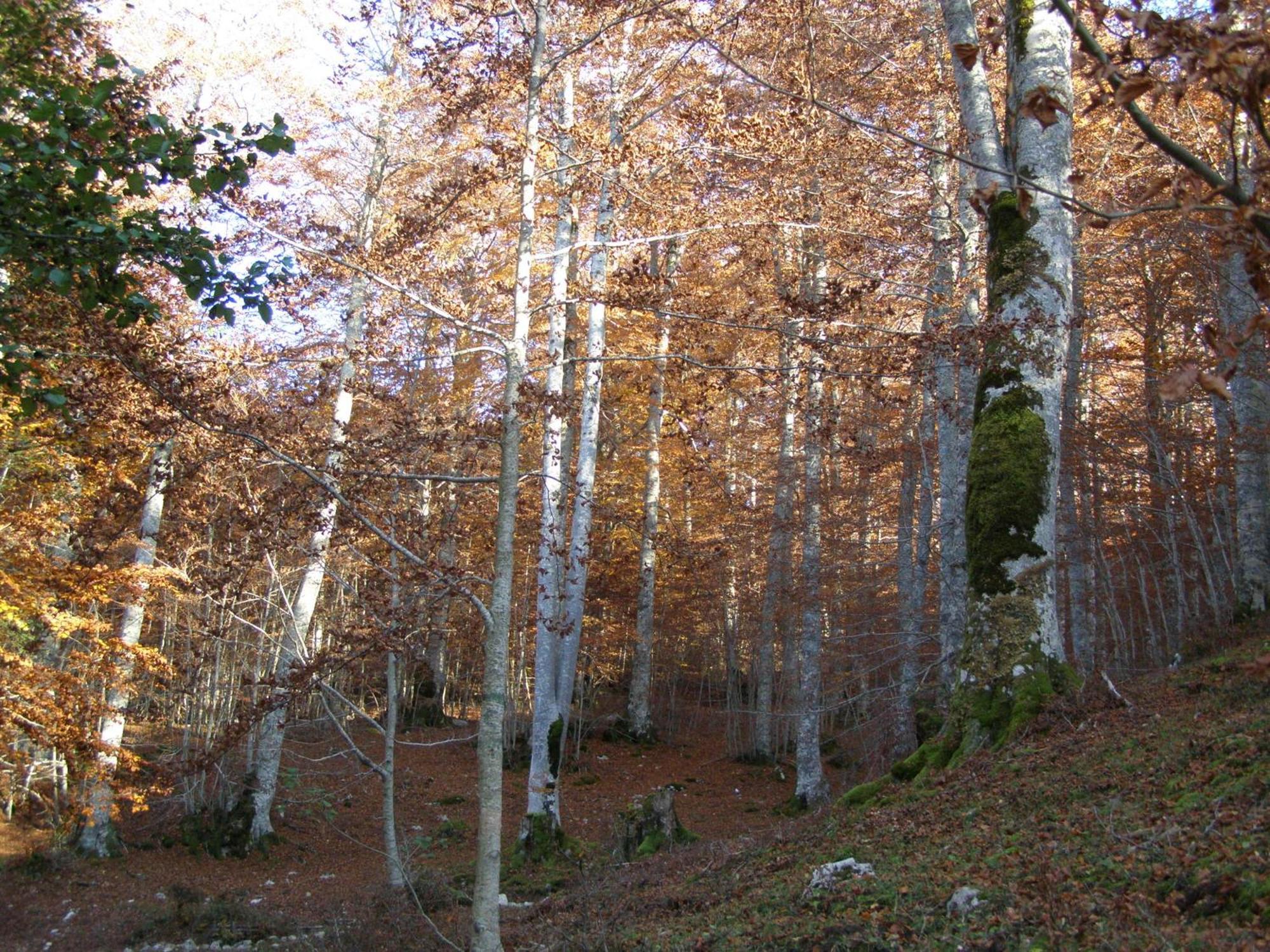 B&B Le Grazie Piaggine Luaran gambar