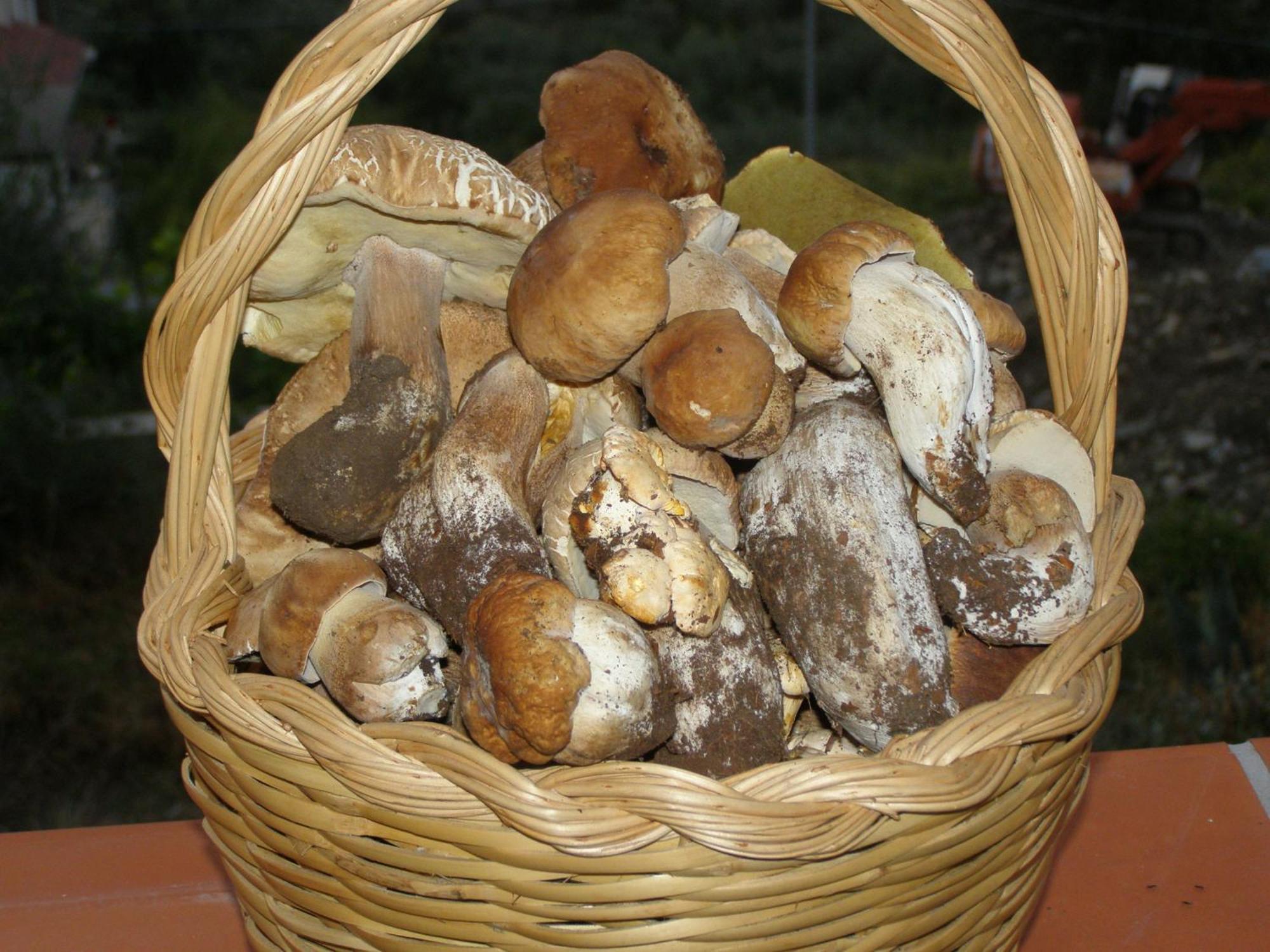 B&B Le Grazie Piaggine Luaran gambar